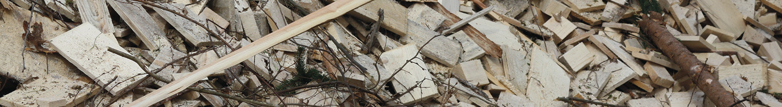 header image - Waste to Energy